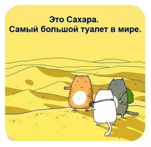 Смешная картинка №299590 кошки