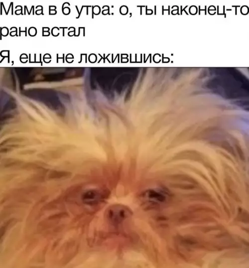 Смешная картинка №577700 мама