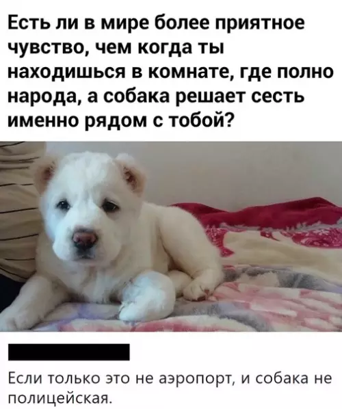 Смешная картинка №467465 Подробности сразу меняют картину