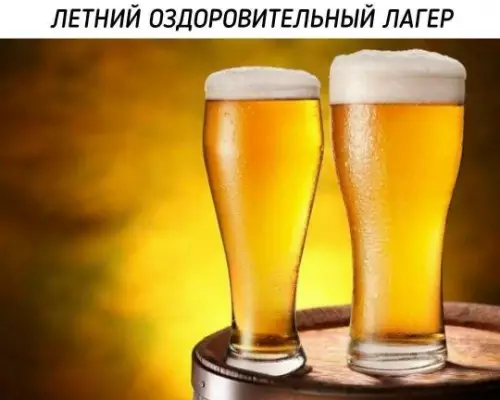 Лучший план на лето найден! 🍺☀️ - ЛЕТНИЙ ОЗДОРОВИТЕЛЬНЫЙ ЛАГЕР