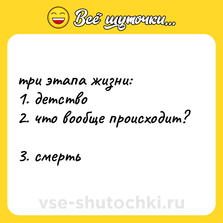 Шутка: три этапа жизни:  <br>1. детство  <br>2. что вообще происходит?  <br>3. смерть
