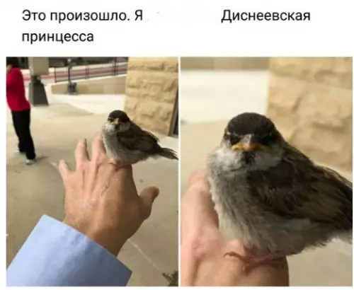 Смешная картинка №249343