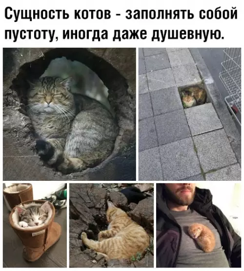 Смешная картинка №382492