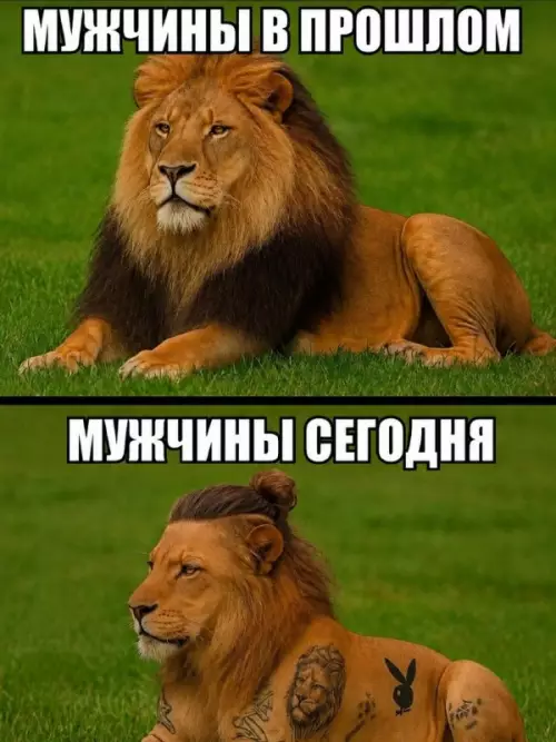 Смешная картинка №822177 Мужчины