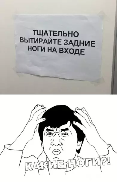 Смешная картинка №460623 А лучше бы и задние и передние ноги вытирать