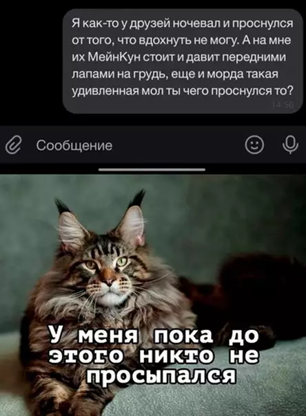 Смешная картинка №583769 Бoльшoй и классный