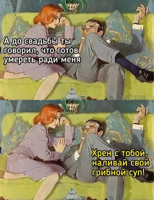 Смешная картинка №743750 Рисковый поступок