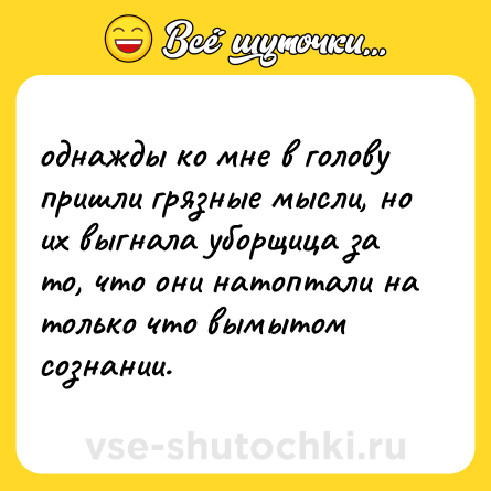 Шутка: однажды ко мне в голову пришли грязные мысли, но их выгнала уборщица за то, что они натоптали на только что вымытом сознании.