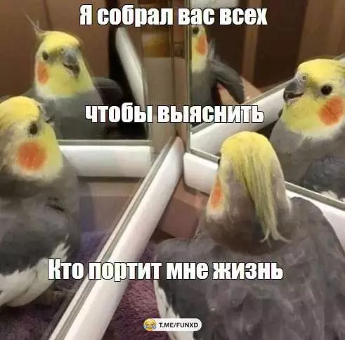 Смешная картинка №684090