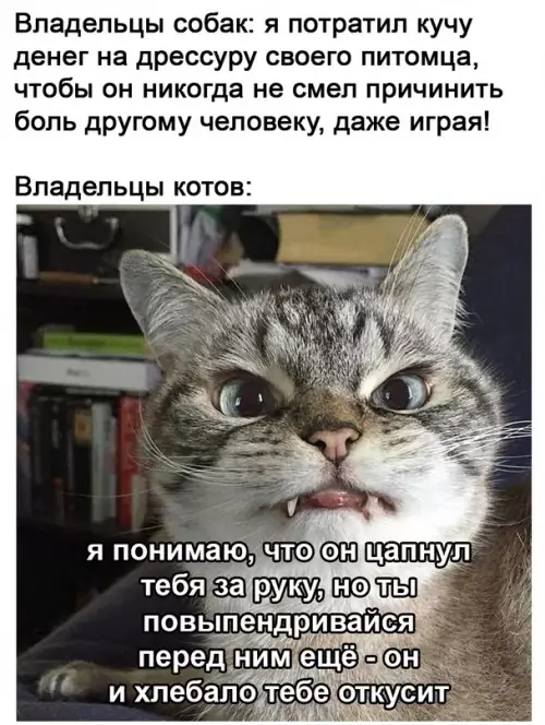 Смешная картинка №627520 Maкcимaльнo тoчнoe cpaвнeниe