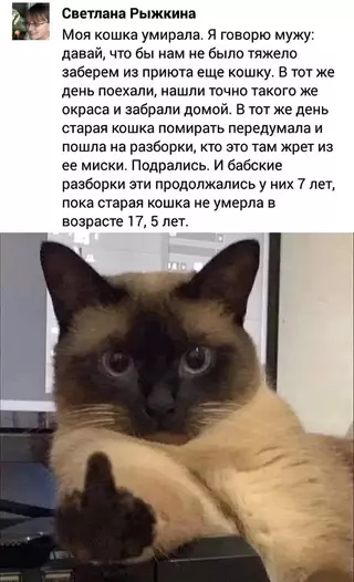 Смешная картинка №661166