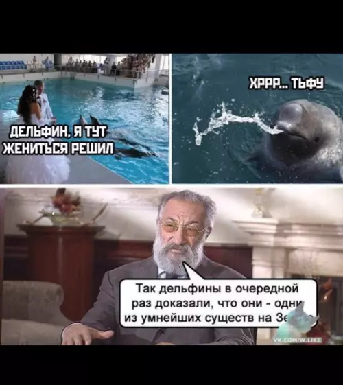 Смешная картинка №369574