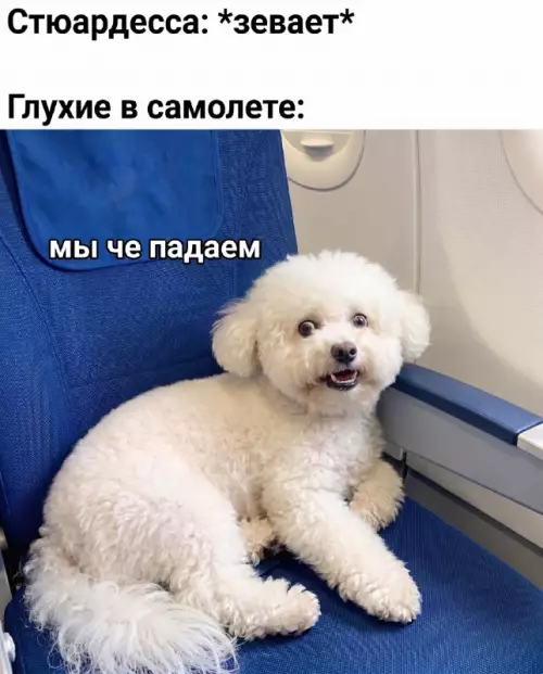 Когда всё пошло не по плану ✈️😱 - Стюардесса: зевает Глухие в самолете: мы че падаем