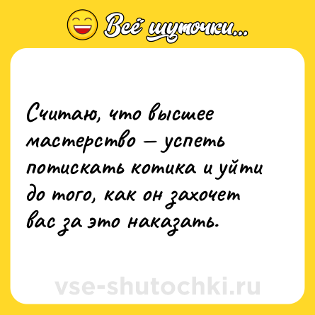 Шутка: Считаю, что высшее мастерство — успеть потискать котика и уйти до того, как он захочет вас за это наказать.