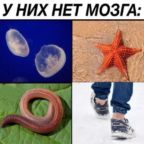 Смешная картинка №226364