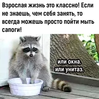 Смешная картинка №677338