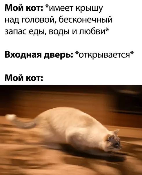 Смешная картинка №495633