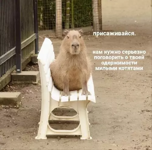 Смешная картинка №676921