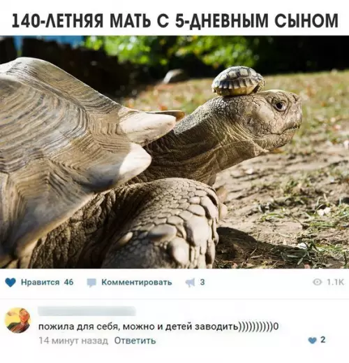 Смешная картинка №243424