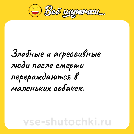 Шутка: Злобные и агрессивные люди после смерти перерождаются в маленьких собачек.