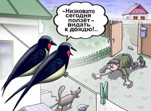 Смешная картинка №222799