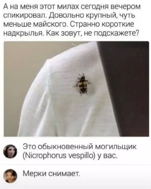 Смешная картинка №764989
