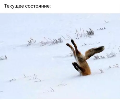 Смешная картинка №224464