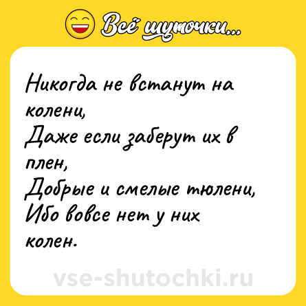 Шутка: Никогда не встанут на колени,<br>Даже если заберут их в плен,<br>Добрые и смелые тюлени,<br>Ибо вовсе нет у них колен.