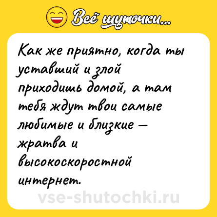 Шутка: Как же приятно, когда ты уставший и злой приходишь домой, а там тебя ждут твои самые любимые и близкие — жратва и высокоскоростной интернет.