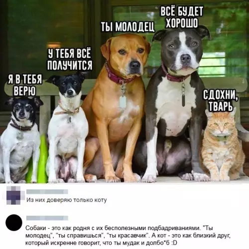 Смешная картинка №395299