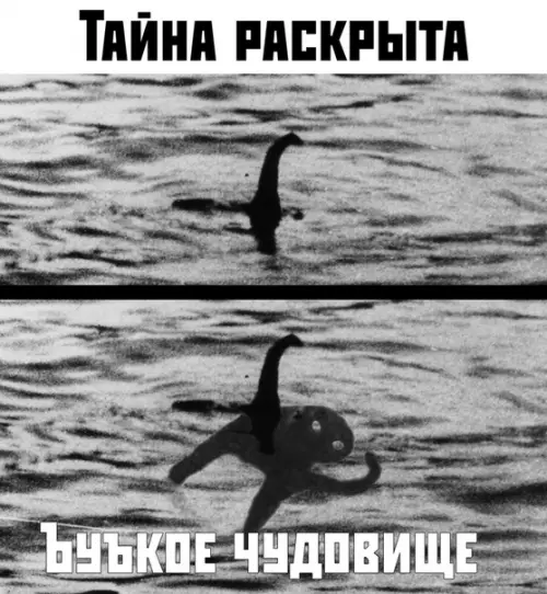 Смешная картинка №380150