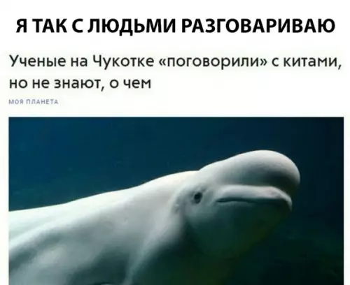 Смешная картинка №300787