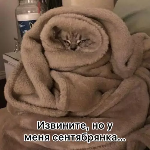 Смешная картинка №596617 Шикарная отмазка на этот месяц..)