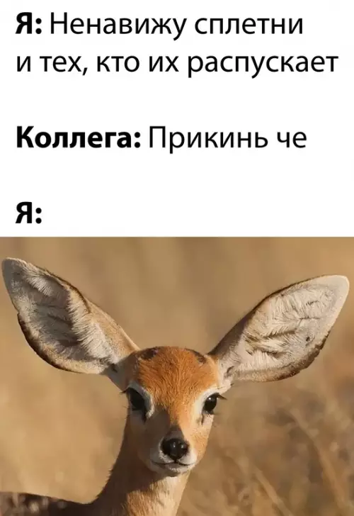 Смешная картинка №667401