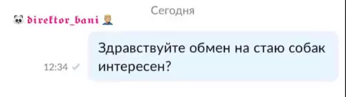 Смешная картинка №665819 приемлемо объявления