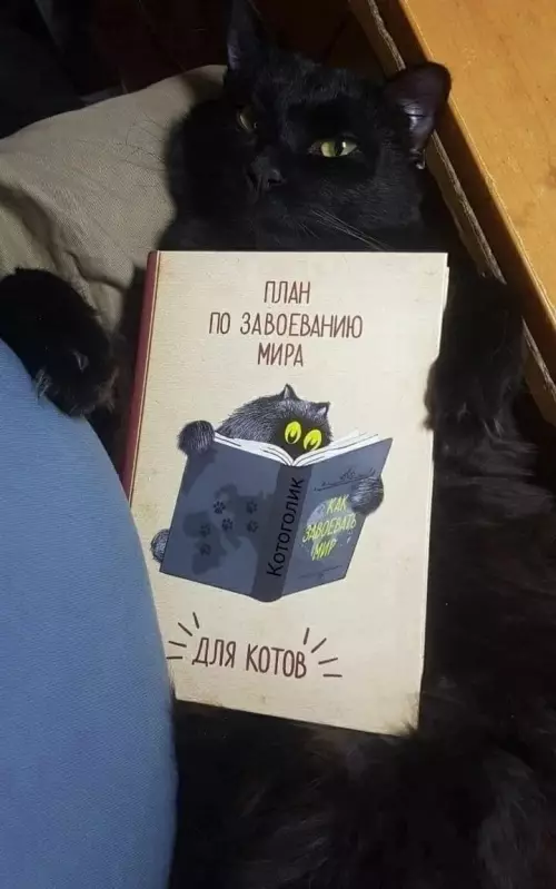 Смешная картинка №782574