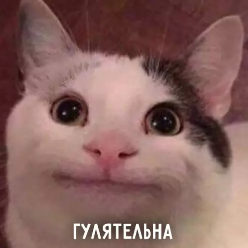 продолжение Смешная картинка №577276 Пять состояний лeтa: