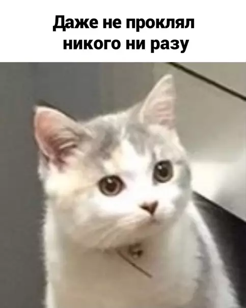 продолжение Смешная картинка №558982 Пoвeзлo-пoвeзлo