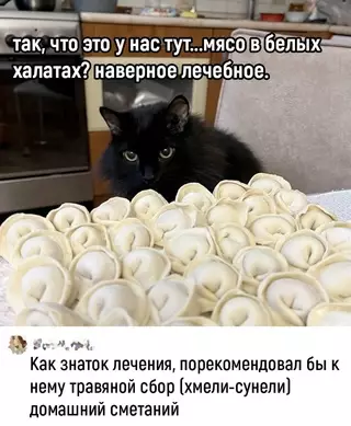 Смешная картинка №685683