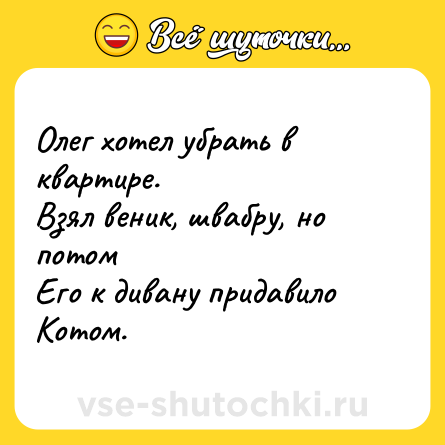 Шутка: Олег хотел убрать в квартире.<br>Взял веник, швабру, но потом<br>Его к дивану придавило<br>Котом.