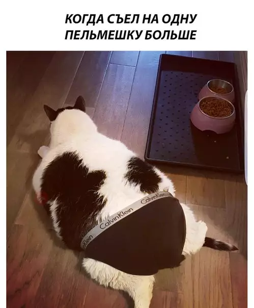 Смешная картинка №263270