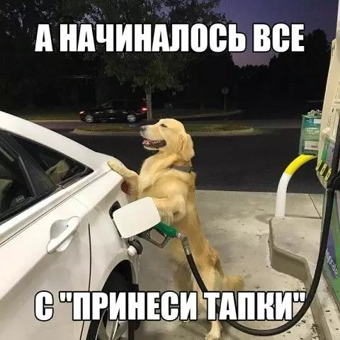 Смешная картинка №392687