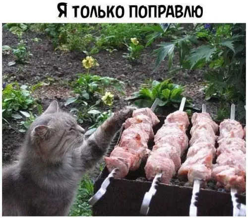 Смешная картинка №773217