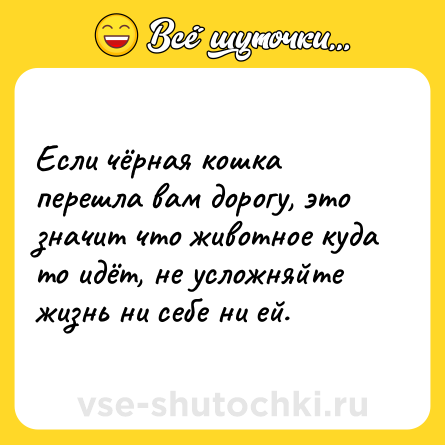 Шутка: Если чёрная кошка перешла вам дорогу, это значит что животное куда то идёт, не усложняйте жизнь ни себе ни ей.