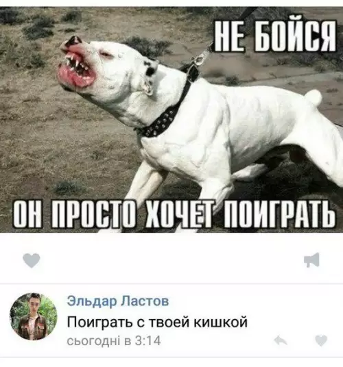 Смешная картинка №200015