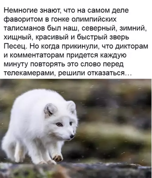 Смешная картинка №466948 познавательный факт
