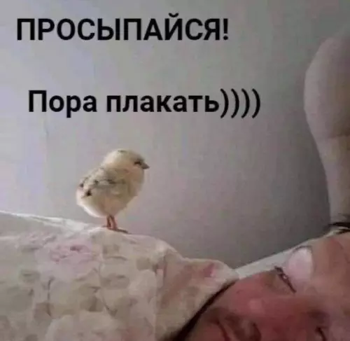 Смешная картинка №746225