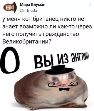 Смешная картинка №663486