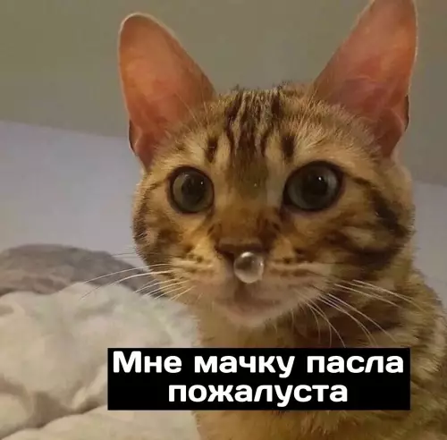 Смешная картинка №685958
