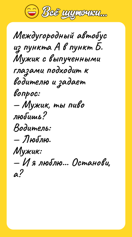 Междугородный автобус из пункта А в пункт Б. Мужик с